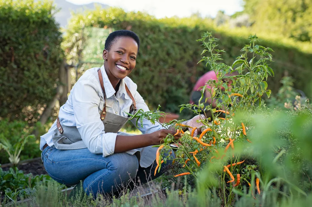 The numerous benefits of organic home gardening in sustenance and environmental care balance.